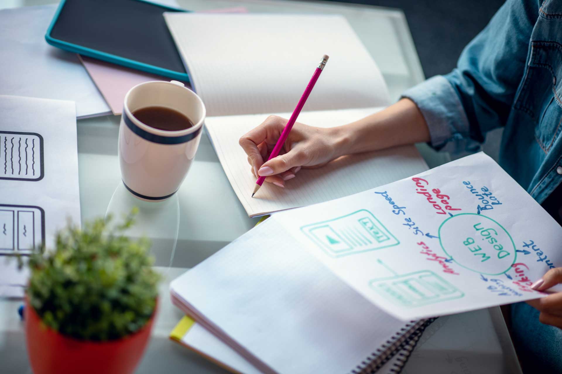 Affordable Web Design Packages to Grow Your Business Quickly